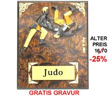 Holzschild Judo "-25% Rabatt-Aktion": JUDO-Motiv aus Steingussmaterial 3-färbig bemalt auf einem Wurzelholzschil