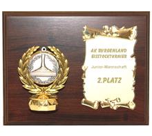 Braunes Holzschild 23x18+Urk.platte 8,5x13+MH+Motiv "Amethyst": Braunes Holzschild 23x18cm mit Urkundenplatte 8,5x13cm für ihre Gravur u