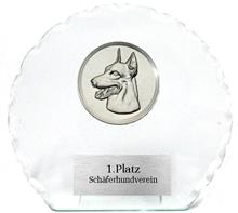 Glastrophäe inkl. Zinn-Emblem: Glastrophäe mit Muschelbruch inkl. Zinn-Emblem Ø50mm Ihrer Wahl. Glasstä