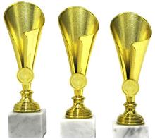 Pokal: Pokal in Nickel schwarz und Silber Finish auf schwarzem Holzsockel.